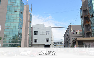 公司简介